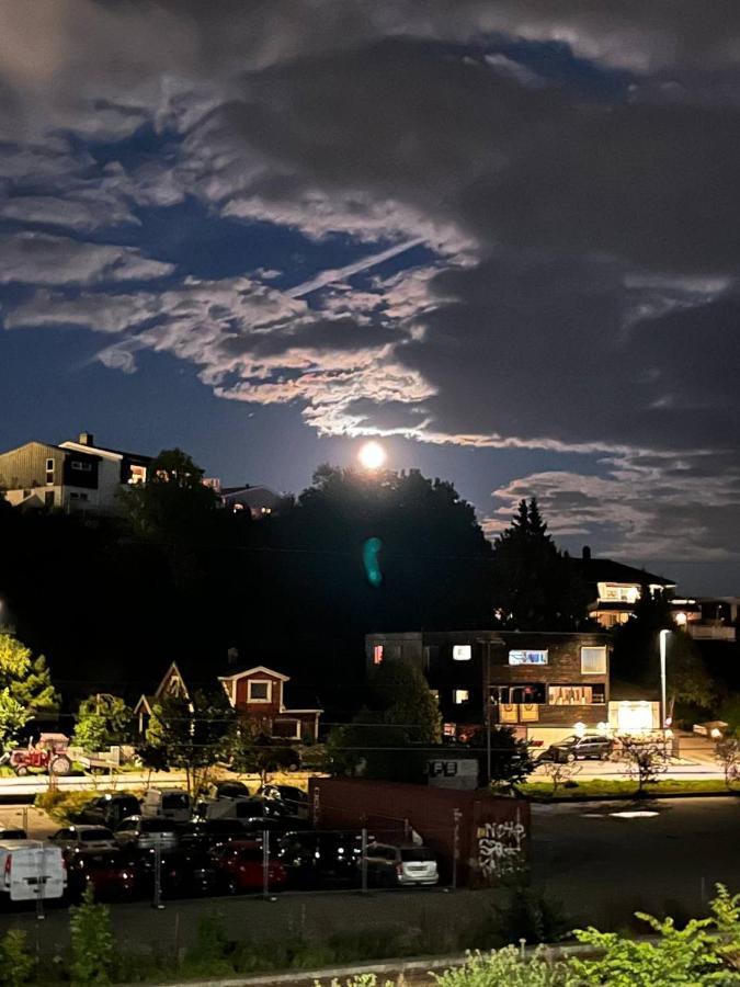 Dammyr, Close To City With Parking เฟรดริคสตา ภายนอก รูปภาพ